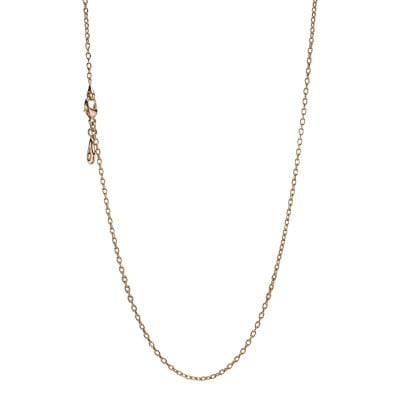 RG chain
