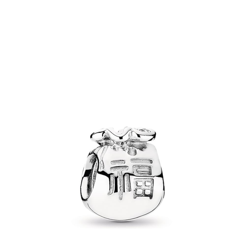 Pandora Good Fortune Moneybag Silver Charm 790990 — Foto 1 von 1