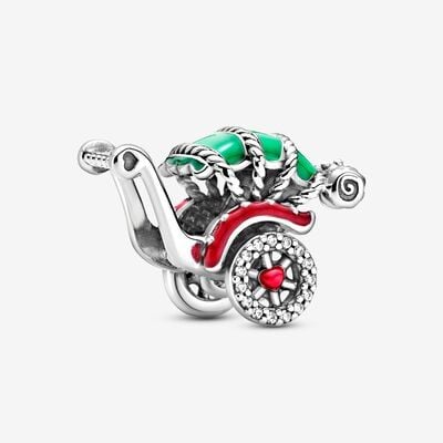 Traditional Rickshaw Charm